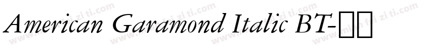 American Garamond Italic BT字体转换